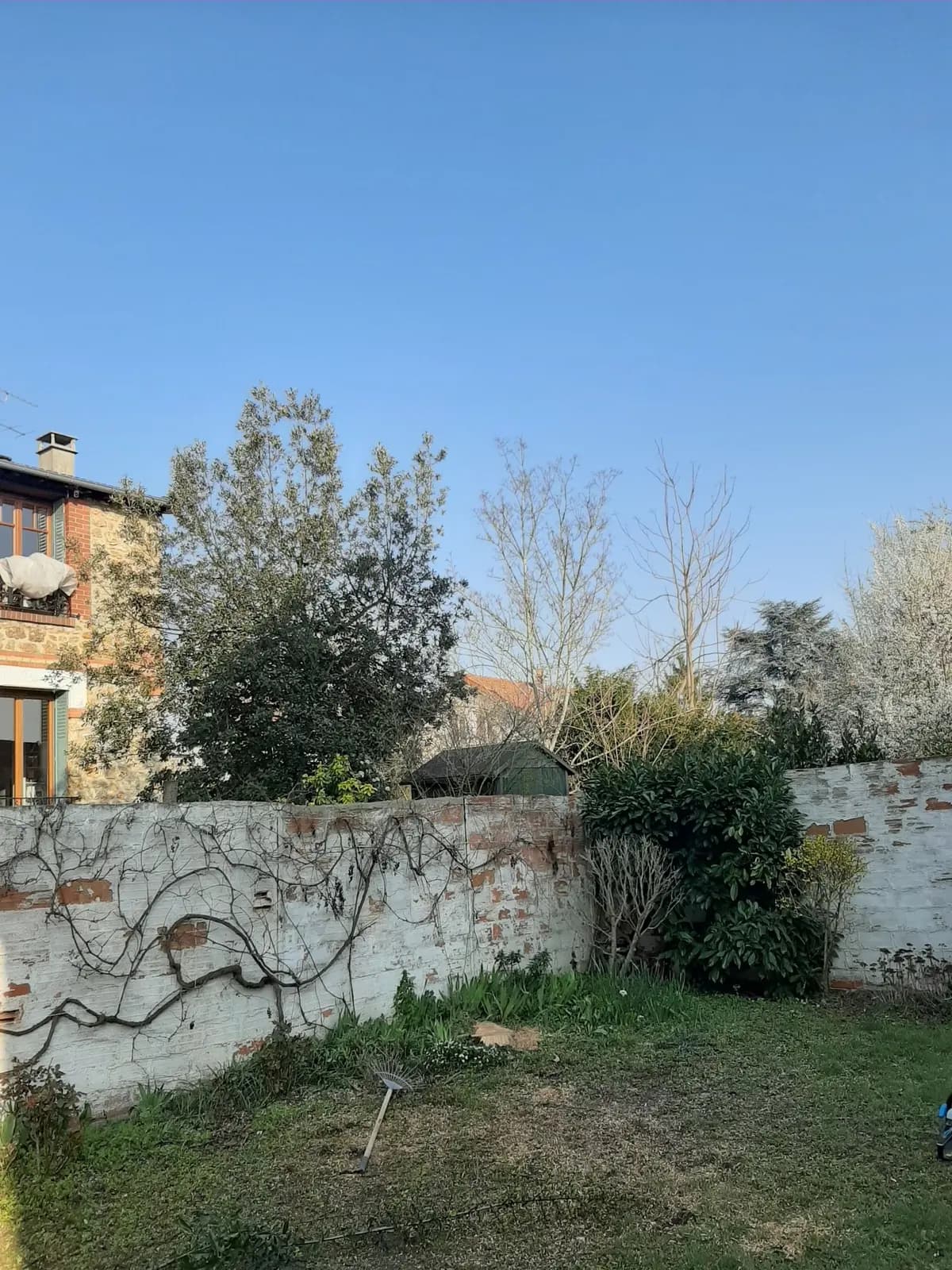 Le même jardin clos après l’abattage du bouleau par L.N.C.J élagage, mur et pelouse intacts
