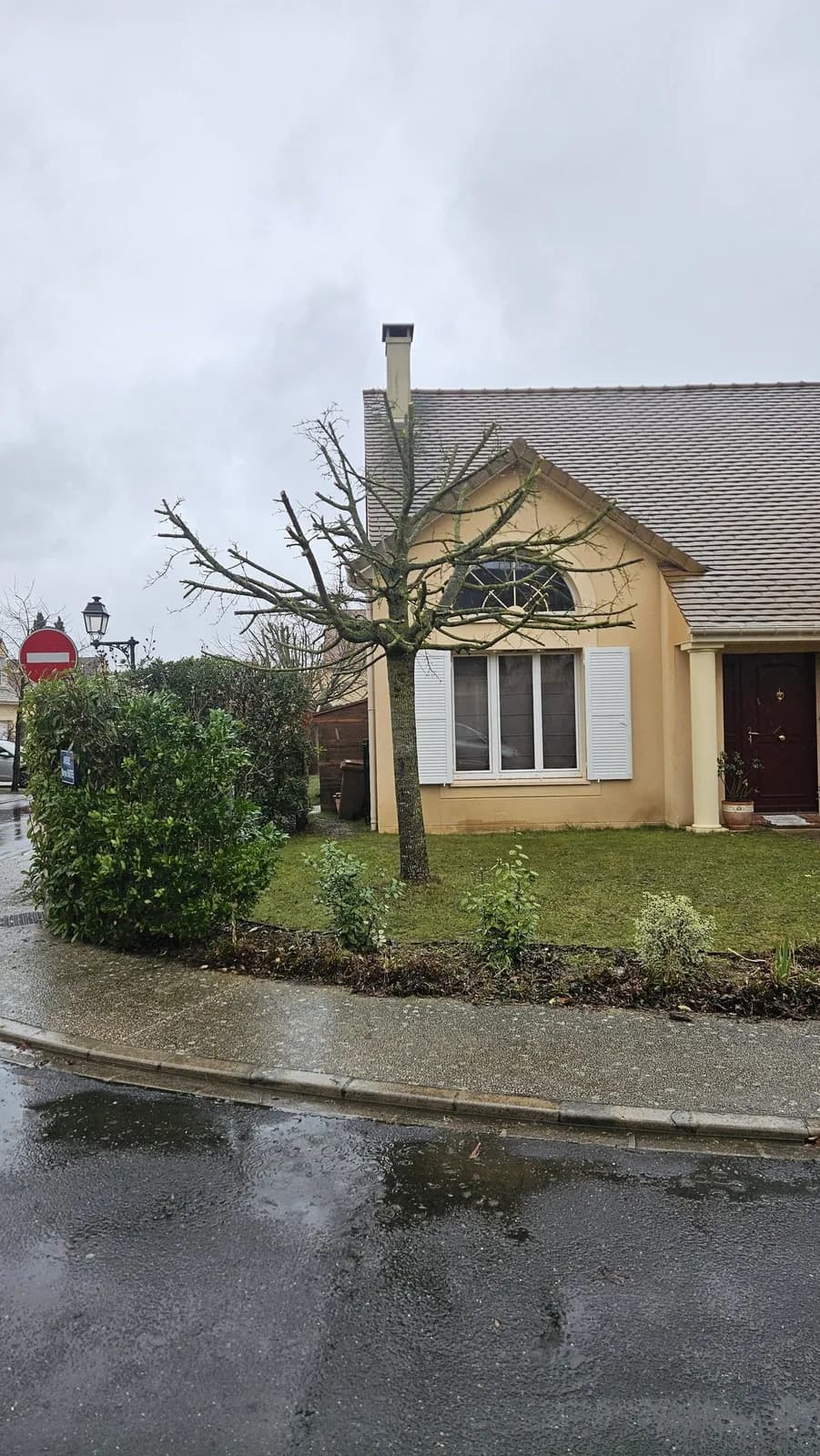 Arbre devant une maison, couronne réduite et allégée par L.N.C.J élagage