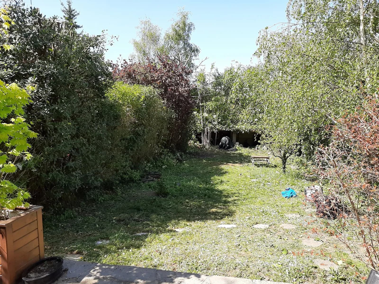 Fond de jardin débroussaillé et tondu par L.N.C.J élagage, allée de pas japonais dégagée