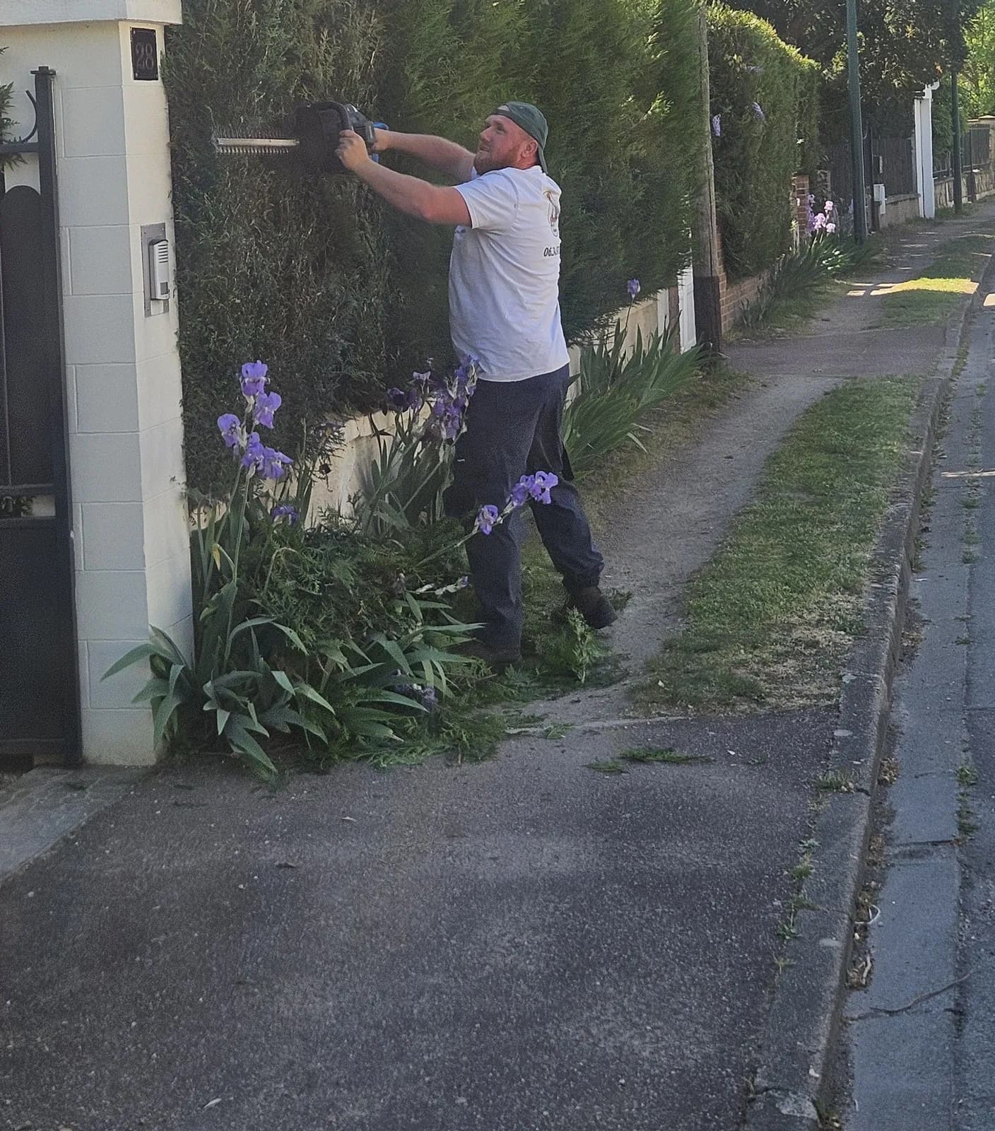 Élagueur de L.N.C.J élagage taillant une haie de conifères le long d’un trottoir, à côté d’un portail